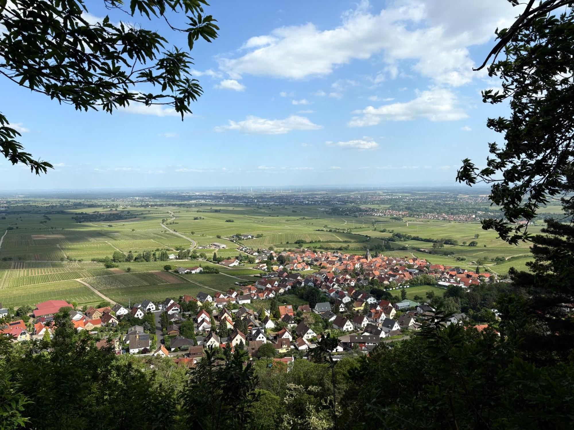 Ferienwohnung Am Ringelsberg Frankweiler 外观 照片